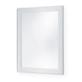 Chase Mounted Security Framed Wall Mirror - Model SA01