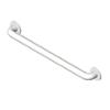 BIM model of a straight stainless steel grab bar with exposed mounting