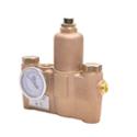Thermostiatic mixing valve for emergency safety fixtures - Model S19-2150